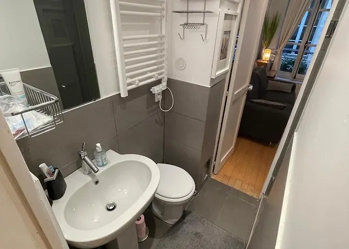 Romantique Pont Neuf *